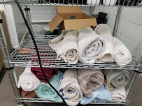 Growing Trade Pet and Plant - Photo 6 - Car repair in Cincinnati, OH, Cincinnati