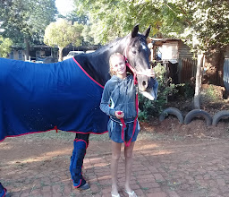 MAESTRO Equestrian Centre photo
