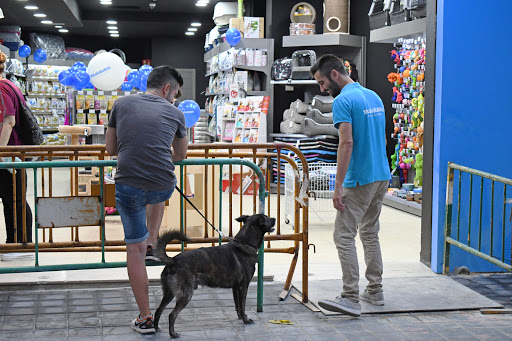 Miscota (Rodríguez de Cepeda) - Valencia