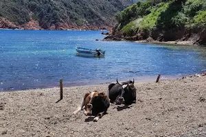 Plage de Focaghia image