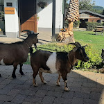 Photo n°1 de l'avis de Sabine.a fait le 15/05/2022 à 21:08 sur le  Gasthof Spelsberg à Altena