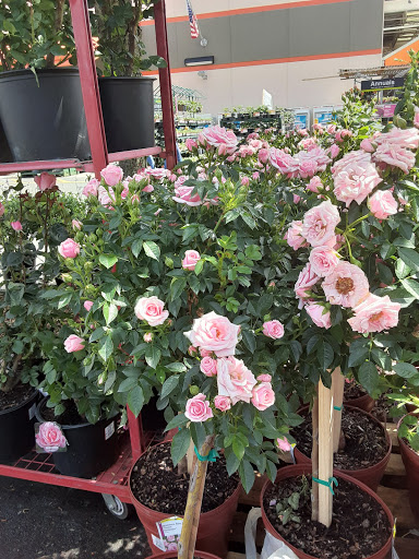 Home Improvement Store «The Home Depot», reviews and photos, 930 Springfield Rd South, Union, NJ 07083, USA