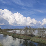 Photo n°5 de l'avis de Manuel.a fait le 23/09/2023 à 17:45 sur le  Osteria dal Pupi à Cavallino-Treporti