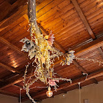 Photo n°2 de l'avis de Barbara.o fait le 25/04/2024 à 13:28 sur le  L'Osteria à Levigliani