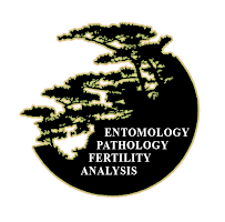 Tree Health Care - PPM Inc. - Photo 9 - Car repair in , Salinas