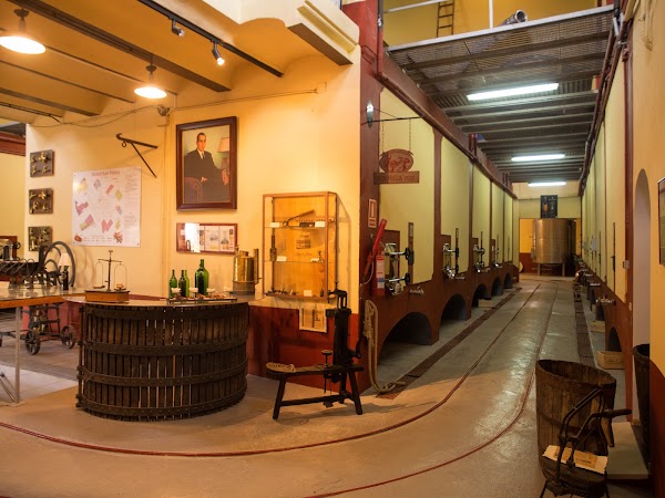 Imagen de Bodegas José L. Ferrer (5 de 20)