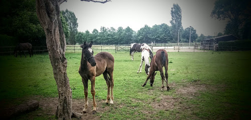 A.J.H. Kip Handelsonderneming