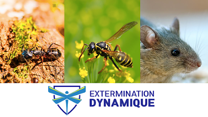 Extermination Dynamique - Duvernay