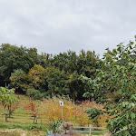 Photo n°2 de l'avis de Alfredo.n fait le 01/12/2022 à 07:34 sur le  Agriturismo Le Campestre à Castel di Sasso