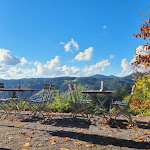 Photo n°1 de l'avis de S.H... fait le 15/06/2023 à 07:27 sur le  Naturfreundehaus Schenkenzell à Schenkenzell