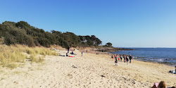 Photo de Plage de Kernevest - endroit populaire parmi les connaisseurs de la détente