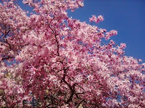 CleanliYES LLC - Photo 6 - Car repair in Brooklyn, NY, New York