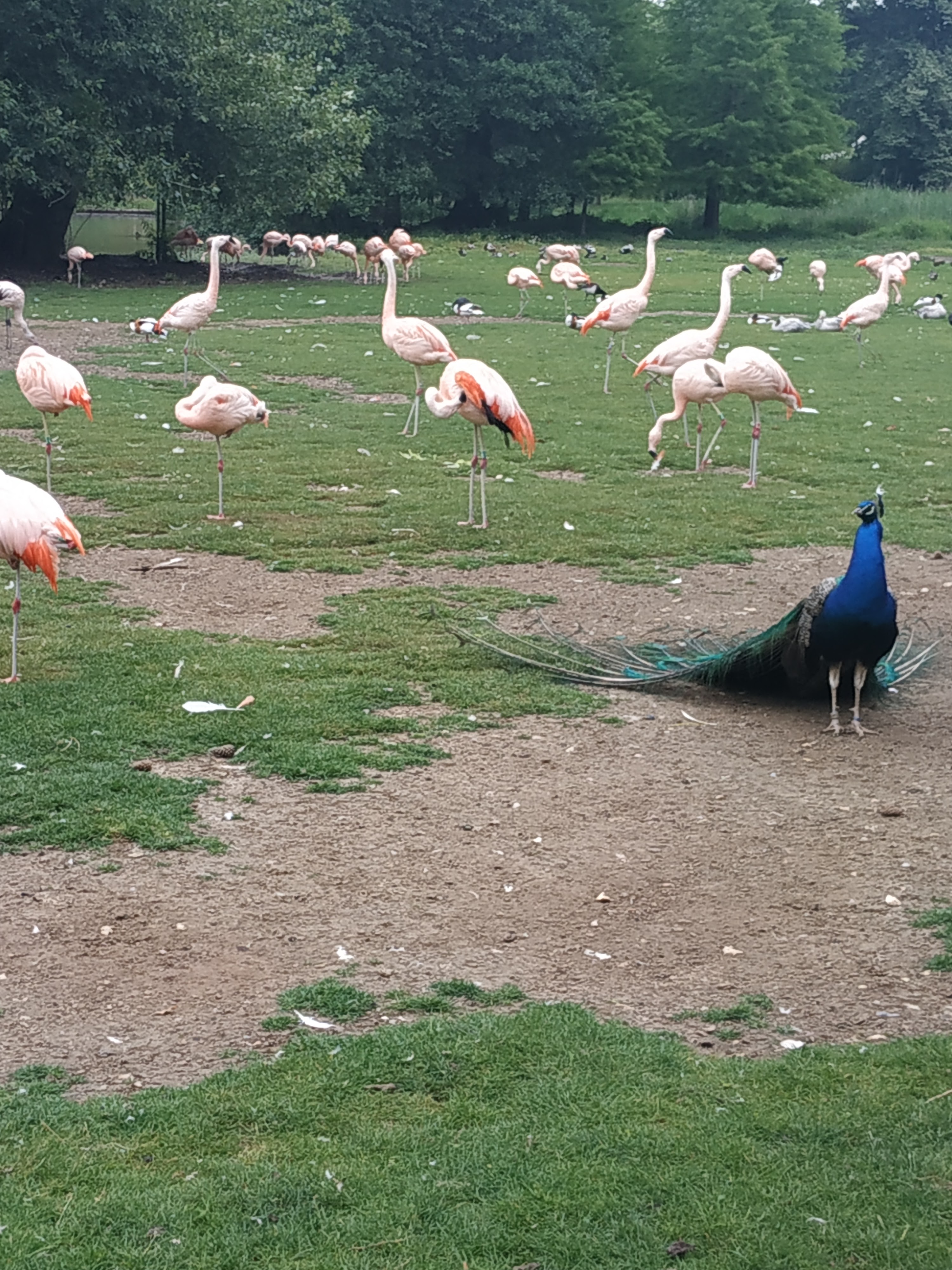 Photo n° 7 de l'avis de marie.l fait le 13/06/2023 à 20:22