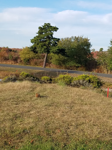 Golf Club «Swan Lake Golf Club», reviews and photos, 388 River Rd, Manorville, NY 11949, USA