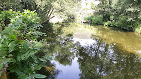 Parque Francisco Saraiva dos Santos