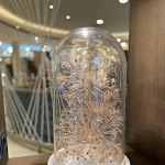 Photo n°10 de l'avis de Christian.r fait le 20/04/2023 à 11:00 sur le  Hyatt Place Frankfurt Airport à Frankfurt