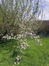 Photo n°6 de Chez Manu à Saint-Julien-en-Beauchêne ()