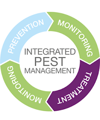 A&R Pest Patrol - Photo 7 - Car repair in Paterson, NJ, Paterson