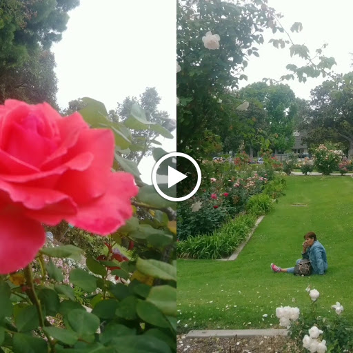 American Restaurant «California Grill», reviews and photos, 6751 Painter Ave, Whittier, CA 90601, USA