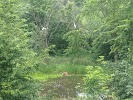 Haas lake Park