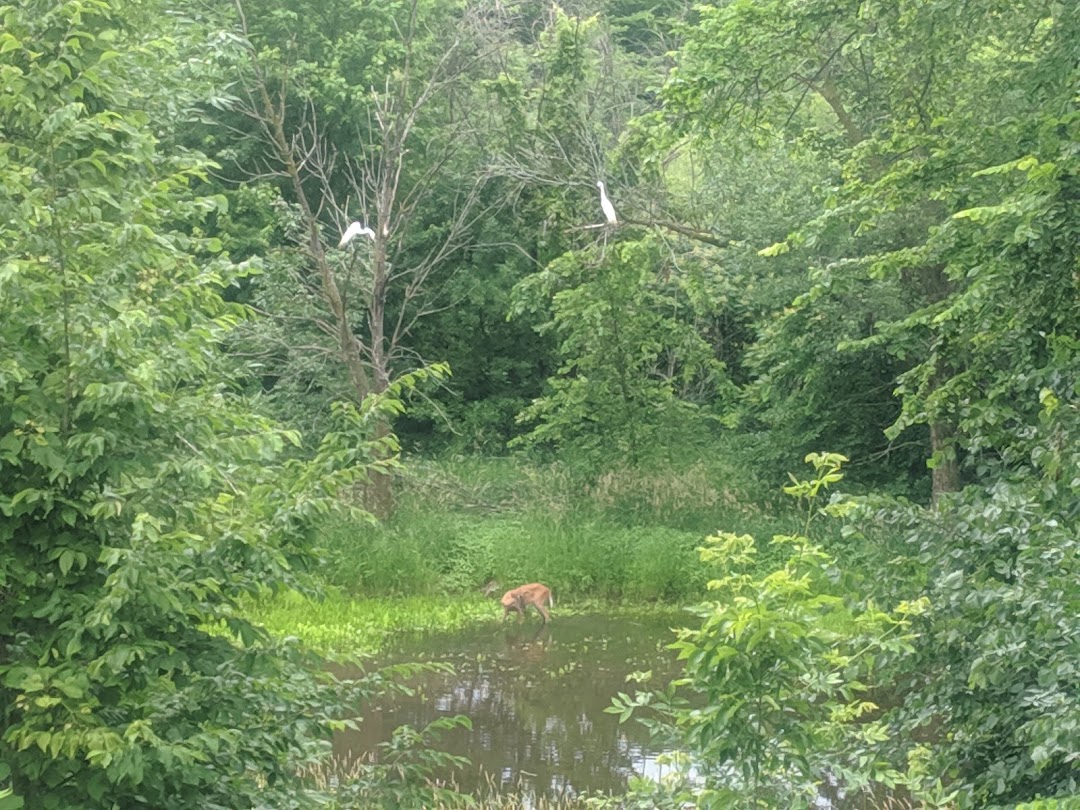 Haas lake Park