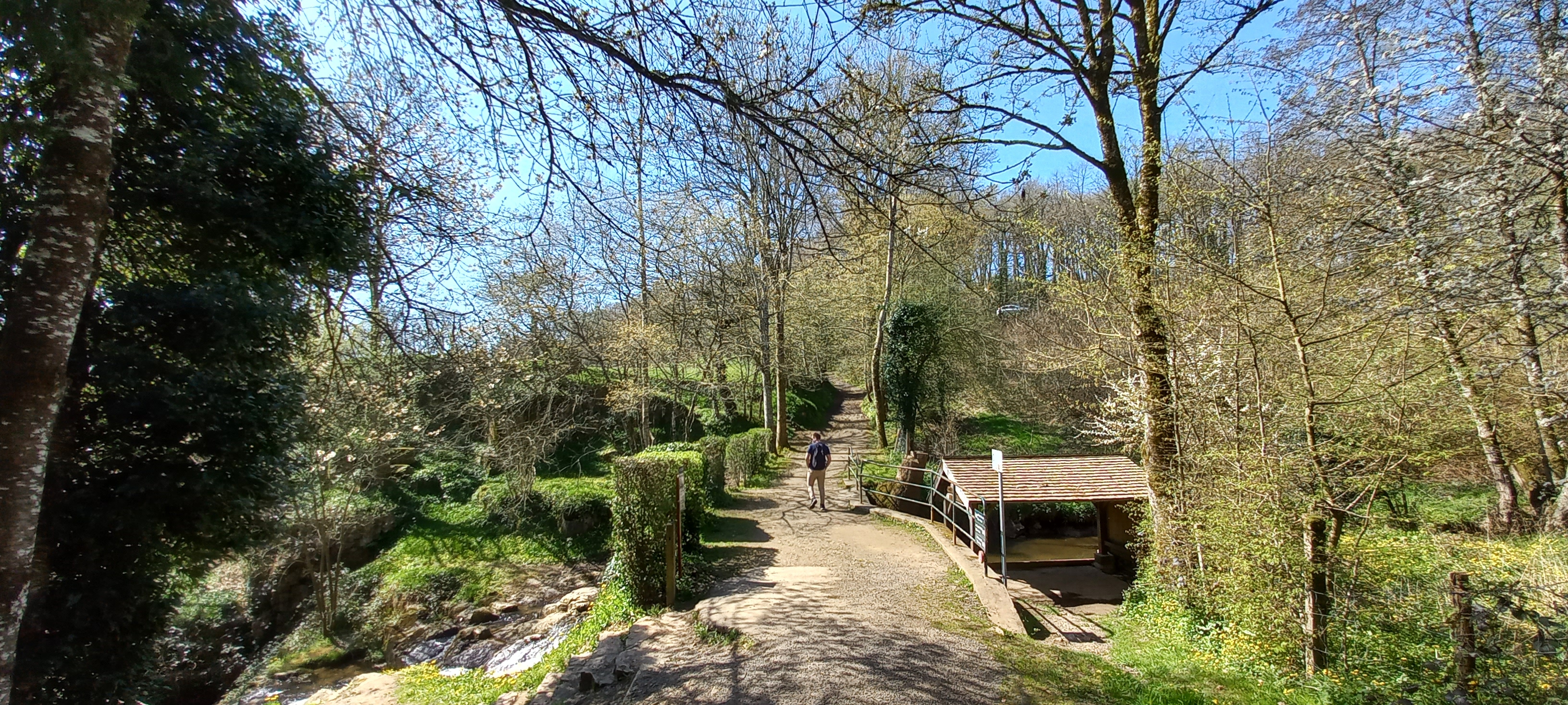 Photo n° 4 de l'avis de Françoise.o fait le 16/04/2023 à 15:18