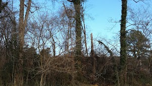 Bolin Creek - photo 7