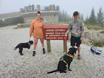 CORA Physical Therapy University - Photo 2 - Car repair in North Charleston, SC, Charleston