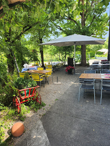 Comentarii opinii despre Mercato