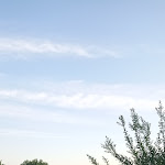 Photo n°4 de l'avis de Claudio.a fait le 04/09/2023 à 17:36 sur le  Masseria Torre di Albidona à Piana della Torre