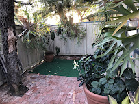 Vargas Tree Services Inc - Photo 9 - Car repair in Anaheim, CA, Anaheim