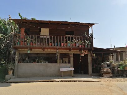 El paraiso - Fuente de Agua, 71970 San Gabriel Mixtepec, Oax., Mexico