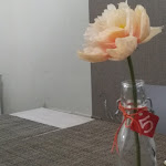 Photo n°1 de l'avis de Pattyna. fait le 28/01/2018 à 01:33 sur le  SICILIA E SAPORI à Pozzallo