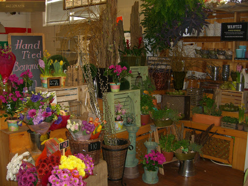 Thornhill Market Florist