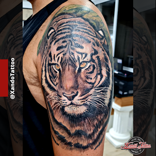 Logo da empresa - XANDÓ TATTOO