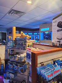Aquarium Concepts - Photo 5 - Car repair in Evansville, IN, Evansville