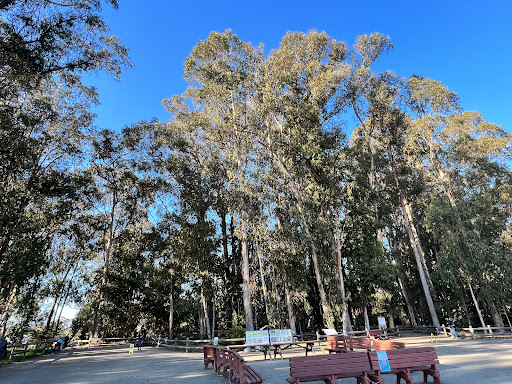 Nature Preserve «Monarch Butterfly Grove», reviews and photos, 400 S Dolliver St, Pismo Beach, CA 93449, USA