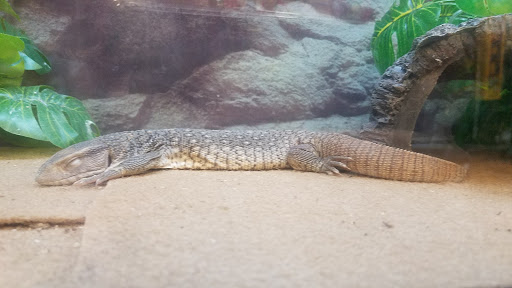 Pet Supply Store «Petco Animal Supplies», reviews and photos, 92 Cluff Crossing Rd, Salem, NH 03079, USA