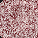 Photo n°11 de l'avis de caterina.u fait le 01/08/2018 à 17:37 sur le  Ristorante da Thomas à Santa Teresa Gallura