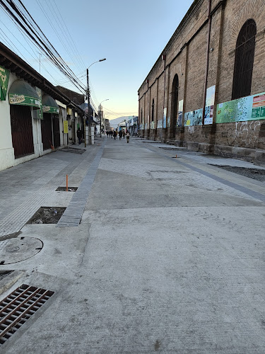 Cardenal José María Caro 582, 3071524 San Fernando, O'Higgins