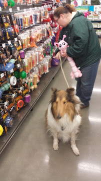 Petco - Photo 3 - Car repair in Harrisburg, PA, Harrisburg