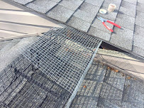 Pro Wildlife and Rodent Removal Joliet - Photo 7 - Car repair in , Joliet