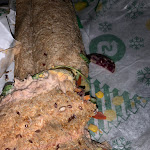 Photo n°1 de l'avis de Le.o fait le 28/11/2021 à 21:19 sur le  Subway à Wuppertal