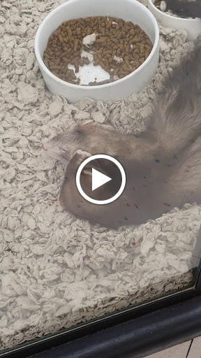 Pet Supply Store «Petco Animal Supplies», reviews and photos, 1624 Governors Square Blvd, Tallahassee, FL 32301, USA