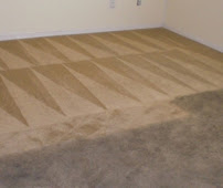APJ Carpet Cleaning - Photo 4 - Car repair in , South Fulton