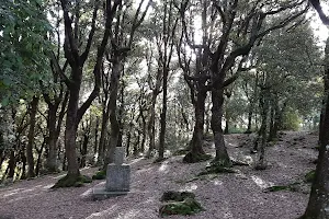 Bosco Sacro di Monteluco image