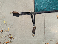 PoolReady Louisville - Photo 3 - Car repair in , Louisville