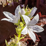 Photo n°35 de l'avis de Bjørn.� fait le 15/06/2020 à 12:08 sur le  Rucksack Hotel à Lübeck