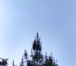 Parque Ecoturistico San Bernabé Ocotepec photo