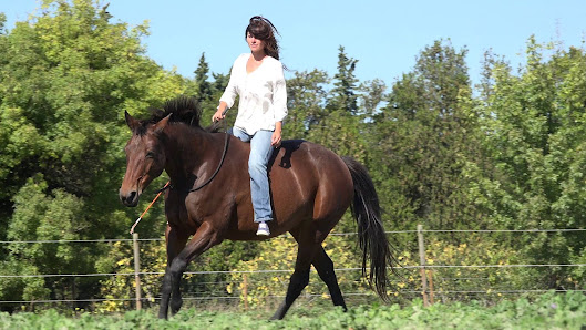 Horsewoman Trip - Lançon-Provence